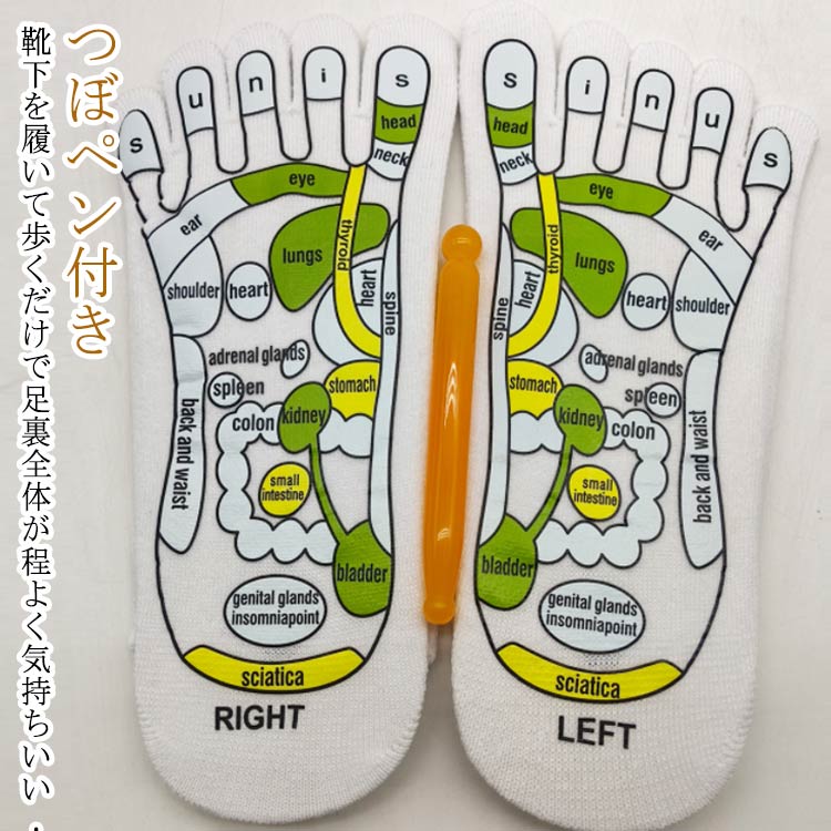【楽天ス一パ-SALE】マッサージ ソックス レディース つぼ 温活 足底 足つぼ ツボ押し 足 おもしろソックス 女性用 5本指ソックス 女性 フットケア で...