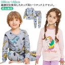 長ズボン 女の子 インナー 丸首 あったかインナー 子供服 長袖 肌着 アンダーシャツ 綿100 キッズ 上下セット tシャツ ロンt インナーウェア ヒートテ...