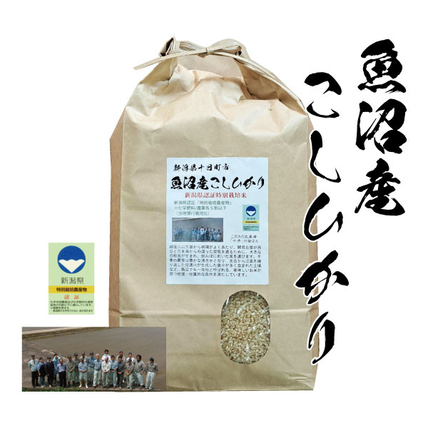 楽天市場】特別栽培 玄米 5kgの通販 楽天市場】特別栽培 玄米 5kgの通販