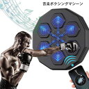 音楽ボクシングマシーン スマートミュージック ボクシング機器 ボクシング マシン LED ライト付き ボクシングトレーニング機器 壁掛けパンチングパッド 大人の子供用屋内フィットネスミュージックボクシングマシン