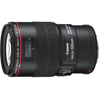 キヤノン Canon 単焦点マクロレンズ キヤノン EFマウント EF100mm F2.8L マクロ IS USM フルサイズ対応