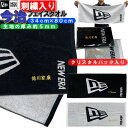 IN THE PAINT インザペイント TOWEL バスケットボール タオル 2024SS(itp243090601)