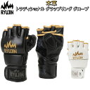 リュウジン RYUJIN 総合格闘技 本革 トラディショナル グラップリング グローブ 練習用グローブ ミット打ち 初心者~上級者向け 171713773