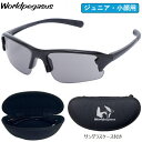 【あす楽対応】ワールドペガサス 野球 サングラス ジュニア用 小顔用 ケース付き WORLD PEGASUS ボーイズリーグ使用可能商品 WP-SET03-JR