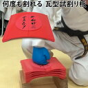 【あす楽対応】何度でも割れる試し割瓦 かわら カワラ 空手 試割り 練習用 1年保証 ライナースポーツオリジナル