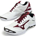 【サイズ交換送料無料】ミズノ バレーボールシューズ WAVE LIGHTNING オリジナルデザイン ローカット 紐タイプ メンズ レディース VM41