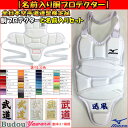 【名前入り胴プロテクター】ミズノ空手 胴プロテクター+名入れ...