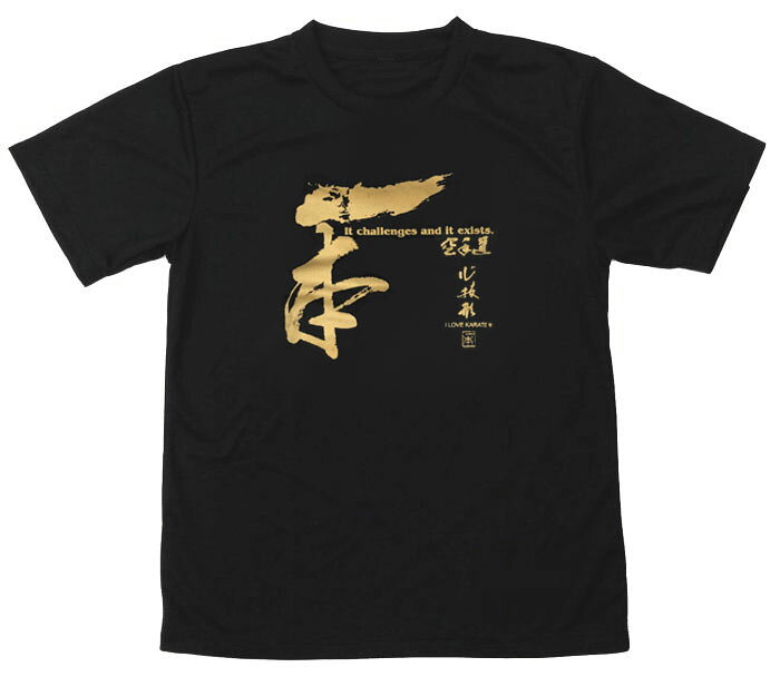 2個注文で送料無料 空手Tシャツ 『一本』 前面プリント ライナースポーツオリジナ...