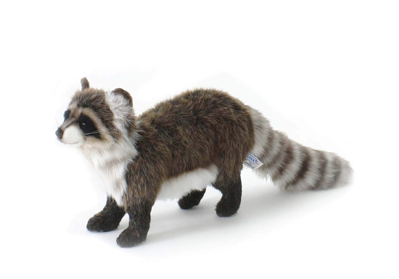 ・サイズ:35cm ・製造国:フィリピン