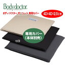 カバー クッションカバー Bodydoctor ザ・シート専用カバー 本体別売 W400×D400×H25mm ベージュ・ブラック・グレー ボディドクター 1