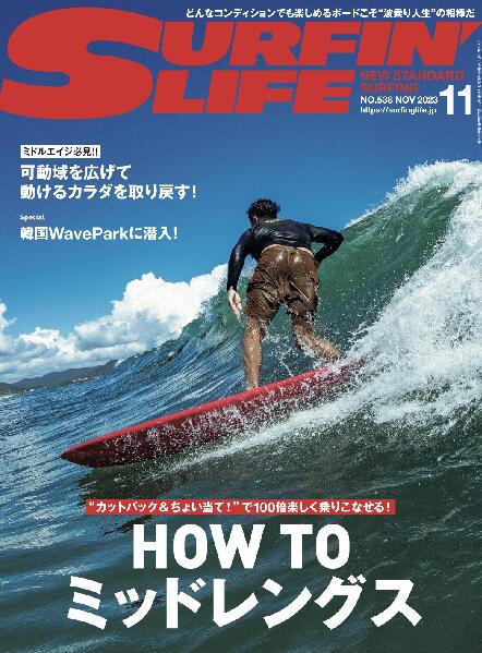 新品 《レターパックライト(追跡可能メール便)ご指定で全国一律送料430円》 SURFIN' LIFE ( NO.538 202..