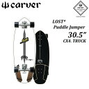 y Ki VAio[t z21-22 CARVER SKATEBOARD 30.5