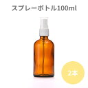 100ml （2本） 茶色のスプレー容器 コスメ容器 化粧水 スプレー付き瓶 スプレーボトル スプレー瓶 ガラスボトル