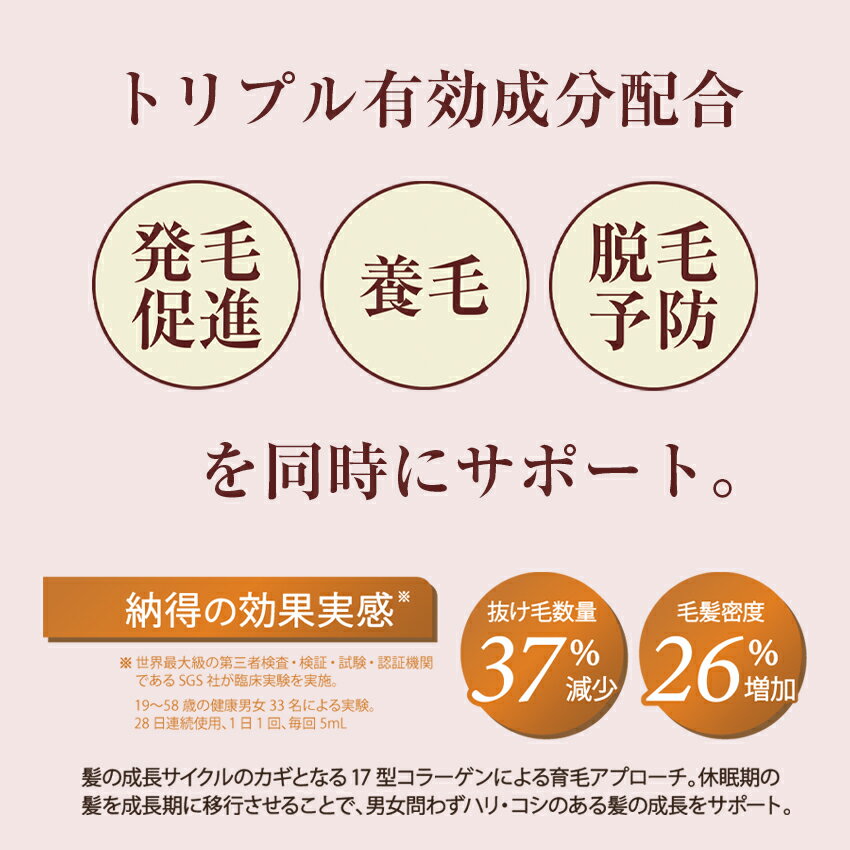 サンプル画像3