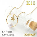 パール ネックレス 一粒 k18 パールネックレス 星 揺れる カジュアル 18金 18k シンプル レディース アジャスター 普段使い チェーン 華奢 誕生石 卒業式 入学式 母の日