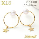 パール ピアス フープ 18k 揺れる パールピアス 18金 k18 フープピアス 輪っか 星 一粒 結婚式 レディース おしゃれ カジュアル 小ぶり ギフト かわいい サークル ユニーク 母の日