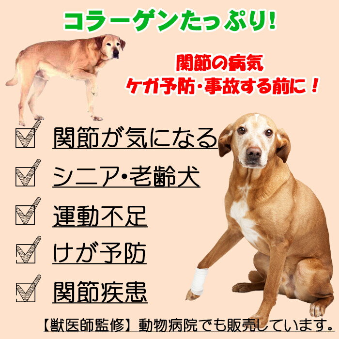 【獣医師監修】ナマコ粉末(キンコ) 90g コラーゲンの補給/関節に！ 【犬用 病院食 犬 おやつ ドッグフード 無添加 国産 エゾシカ ペットフード】