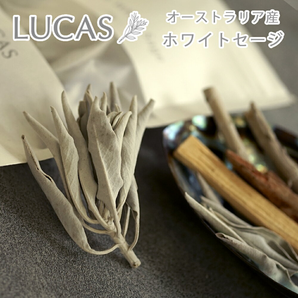 オーストラリア産・ホワイトセージ （有機・無農薬）10g LUCAS ルカス 浄化 スマッジング ヨガ 瞑想 クレンズ