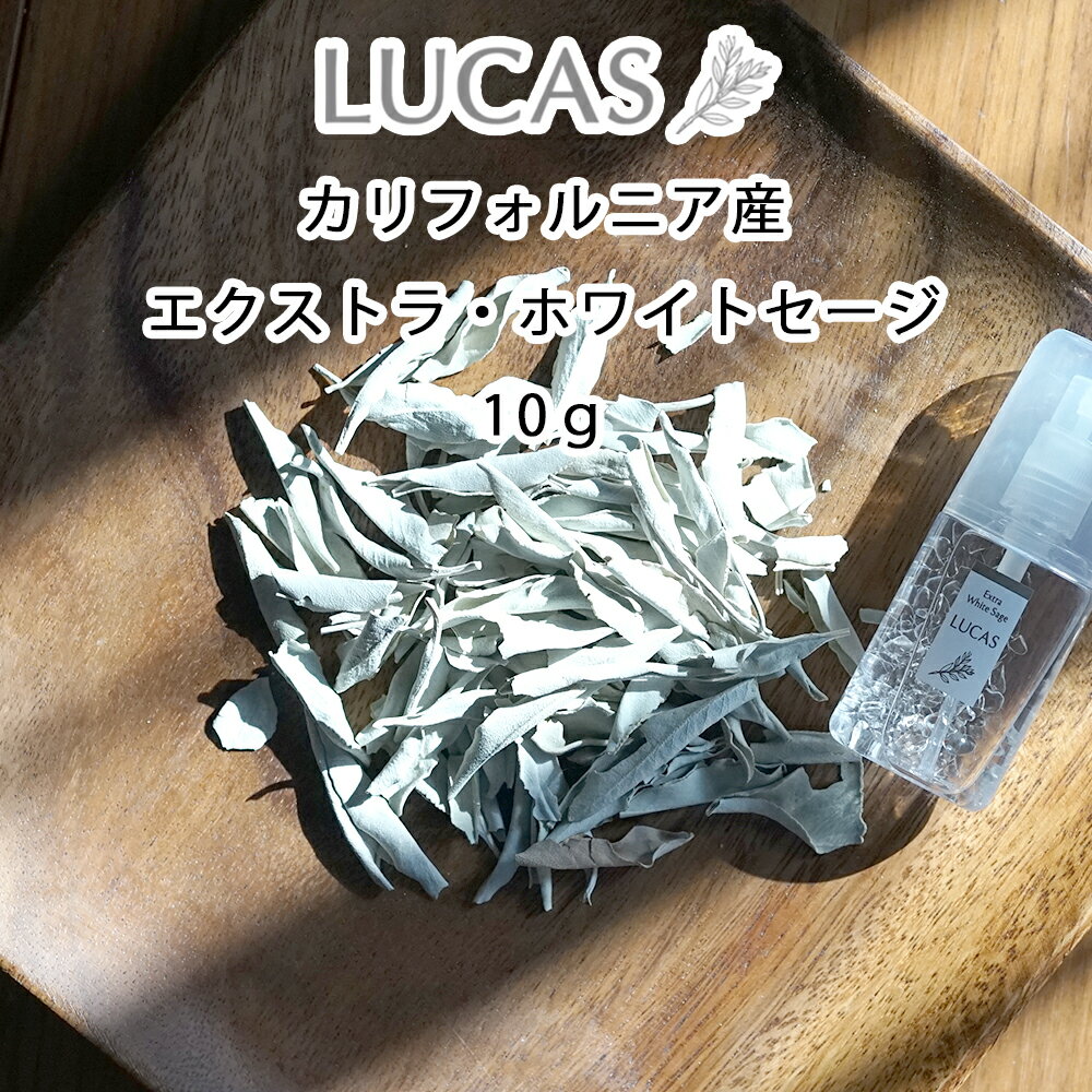 ホワイトセージ リーフ 10g【カリフォルニア直輸入・オーガニック・ホワイトセージ協会認証】浄化 スマッジング 瞑想 ヨガ エクストラ・ホワイトセージ LUCAS ルカス クレンズのサムネイル
