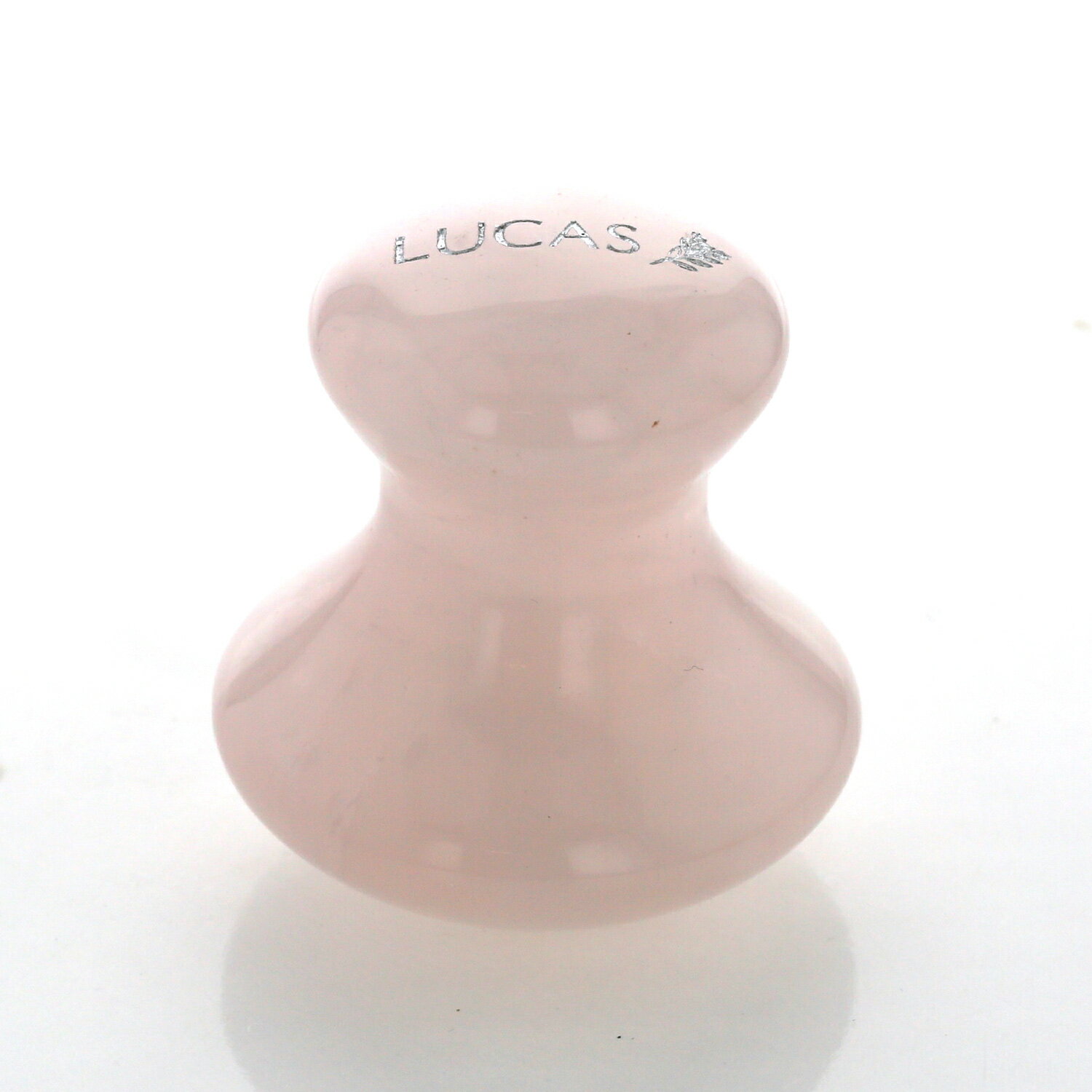 ĥܲޥå㡼ڥġۥҡ󥰥ȡ󡡥ݡդ LUCAS 륫