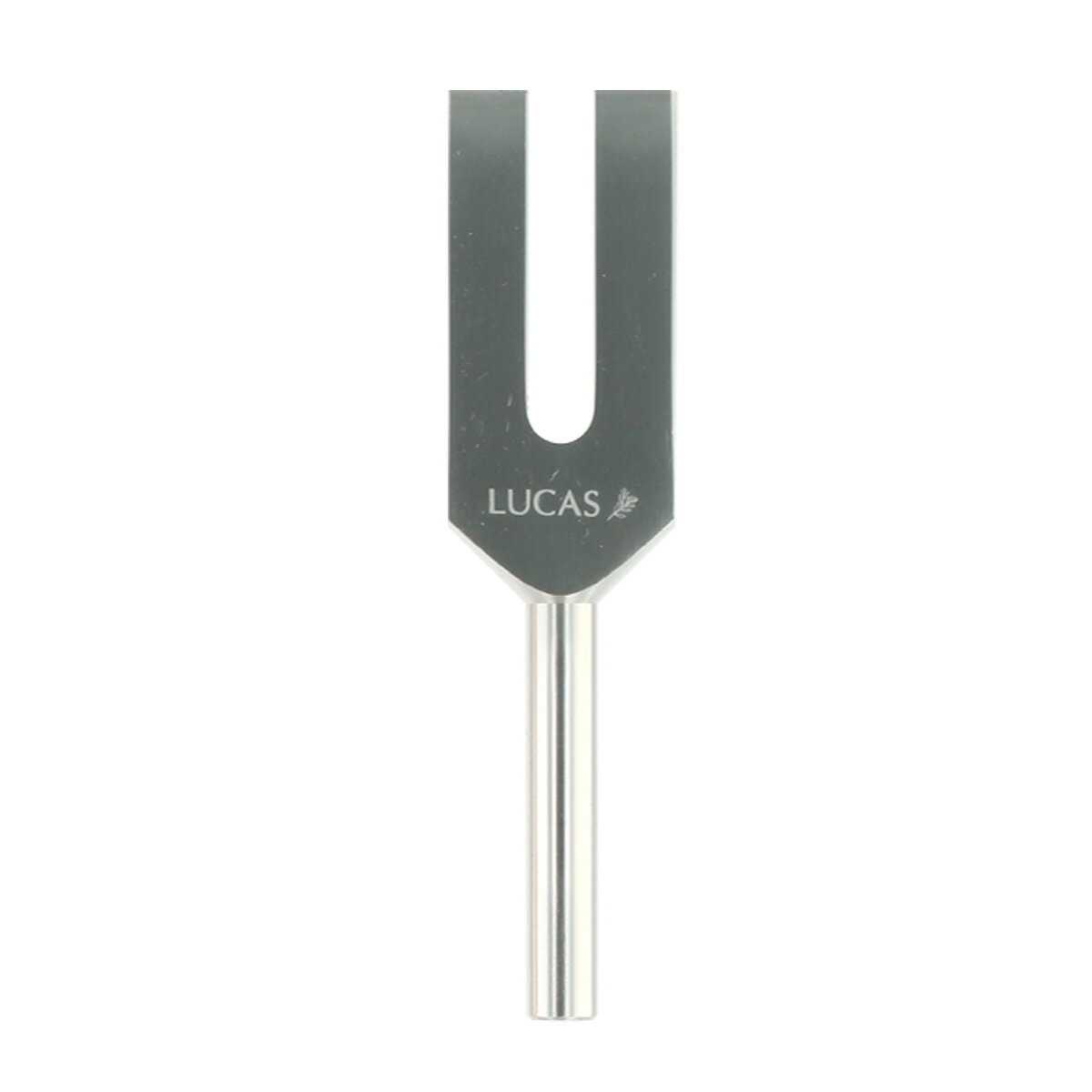 ҡ󥰾塼ʡ ŷȤ򳫤4096Hz۲LUCAS 륫