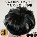 部分ウィッグ ヘアピース かつら 男性 女性 カツラ ウイッグ メンズ レディース トップピース ポイントピース 薄毛 脱毛 医療用 部分カツラ 国内 つむじ 頭頂部 人毛 ショート wig ういっぐ 人工肌 自然 ヘアーピース Luce brillare ルスブリラーレ つむじにヘアプラスロング