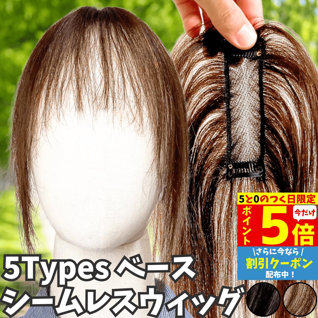 【2/25限定 ポイント5倍】 部分ウィッグ ヘアピース ポイントウィッグ 女性 レディース 人毛100% かつら ウィッグ 医療用 トップピース トップカバー トップウィッグ ストレート 前髪ウィッグ 人毛ウィッグ つむじ 頭頂部 白髪カバー 自然 メッシュ カバーウィッグ