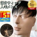 【P5倍&クーポン マラソン限定】 ウィッグ メンズ 人毛 おしゃれ メンズウィッグ かつら ヘアピース トップピース ポイントピース 人毛 トップウィッグ 男...