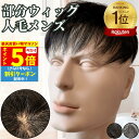 【P5倍&クーポン マラソン限定】 ウィッグ メンズ 人毛 おしゃれ メンズウィッグ かつら ヘアピース トップピース ポイントピース 人毛 トップウィッグ 男性用かつら 部分ウィッグ つむじ 頭頂部 医療 部分カツラ カバーウィッグ 白髪隠し ショート 前髪 ビジネス バレない
