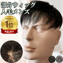 ウィッグ メンズ 人毛 おしゃれ メンズウィッグ かつら ヘアピース トップピース ポイントピース 人毛 トップウィッグ 男性用かつら 部分ウィッグ つむじ 頭頂部 医療 部分カツラ カバーウィッグ 白髪隠し ショート 前髪 ビジネス バレない