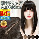 【9/18限定 ポイント5倍】 部分ウィッグ 前髪ウィッグ ヘアピース カツラ 女性 レディース 自然 トップピース ポイントピース トップカバー カバーウィッグ トップウィッグ 35cm 人工毛 薄毛 バレない 痛くない 白髪カバー 白髪隠し セミロング ストレート ワンタッチ
