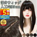 【P5倍&クーポン マラソン限定】 部分ウィッグ 前髪ウィッグ ヘアピース カツラ 女性 レディース 自然 トップピース ポイントピース トップカバー カバーウ...