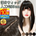 【4時間限★7/4 20時〜P10】 部分ウィッグ 前髪ウィッグ ヘアピース カツラ 女性 レディース 自然 トップピース ポイントピース トップカバー カバー...