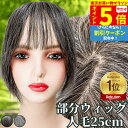 【P5倍&クーポン マラソン限定】 白髪ウィッグ 白髪かつら 部分ウィッグ ヘアピース ポイントウィッグ 白髪 グレイヘア トップウィッグ トップカバー ポイントピース 増毛かつら レディース 人毛100 ウィッグ 医療用 つむじ 頭頂部 ワンタッチ トップピース ストレート