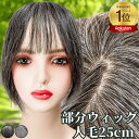 白髪ウィッグ 白髪かつら 部分ウィッグ ヘアピース ポイントウィッグ 白髪 グレイヘア トップウィッグ トップカバー ポイントピース 増毛かつら レディース 人毛100 ウィッグ 医療用 つむじ 頭頂部 ワンタッチ トップピース ストレート