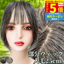 【P5倍&クーポン マラソン限定】 白髪ウィッグ 白髪かつら 部分ウィッグ ヘアピース ポイントウィッグ 白髪 グレイヘア トップウィッグ トップカバー ポイン...