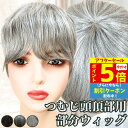 【P5 アフターセール 7/11限】 白髪ウィッグ 白髪かつら 部分ウィッグ ヘアピース ポイントウィッグ 白髪 男性用 グレイヘア トップウィッグ トップカバー ポイントピース 増毛かつら 女性 レディース 人工毛 ウィッグ 医療用 つむじ 頭頂部 ワンタッチ トップピース 部分