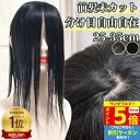 【P5倍還元 ワンダフルデー】 部分ウィッグ ヘアピース ポイントウィッグ トップピース ヘアピース トップカバー トップウィッグ 前髪未カット 分け目自由自在 センター分け かつら 女性 レディース 自然 人毛ウィッグ バレない 医療用 つむじ 頭頂部 痛くない ウイッグ