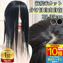 【4時間限★7/4 20時~P10】 部分ウィッグ ヘアピース ポイントウィッグ トップピース ヘアピース トップカバー トップウィッグ 前髪未カット 分け目自由自在 センター分け かつら 女性 レディース 自然 人毛ウィッグ バレない 医療用 つむじ 頭頂部 痛くない ウイッグ