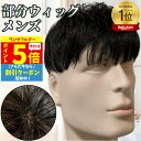 【7/1限定 P5倍&クーポン】 ウィッグ メンズ 人毛 おしゃれ メンズウィッグ 浮かない ヘアピース トップピース ポイントピース 人毛 トップウィッグ 男...
