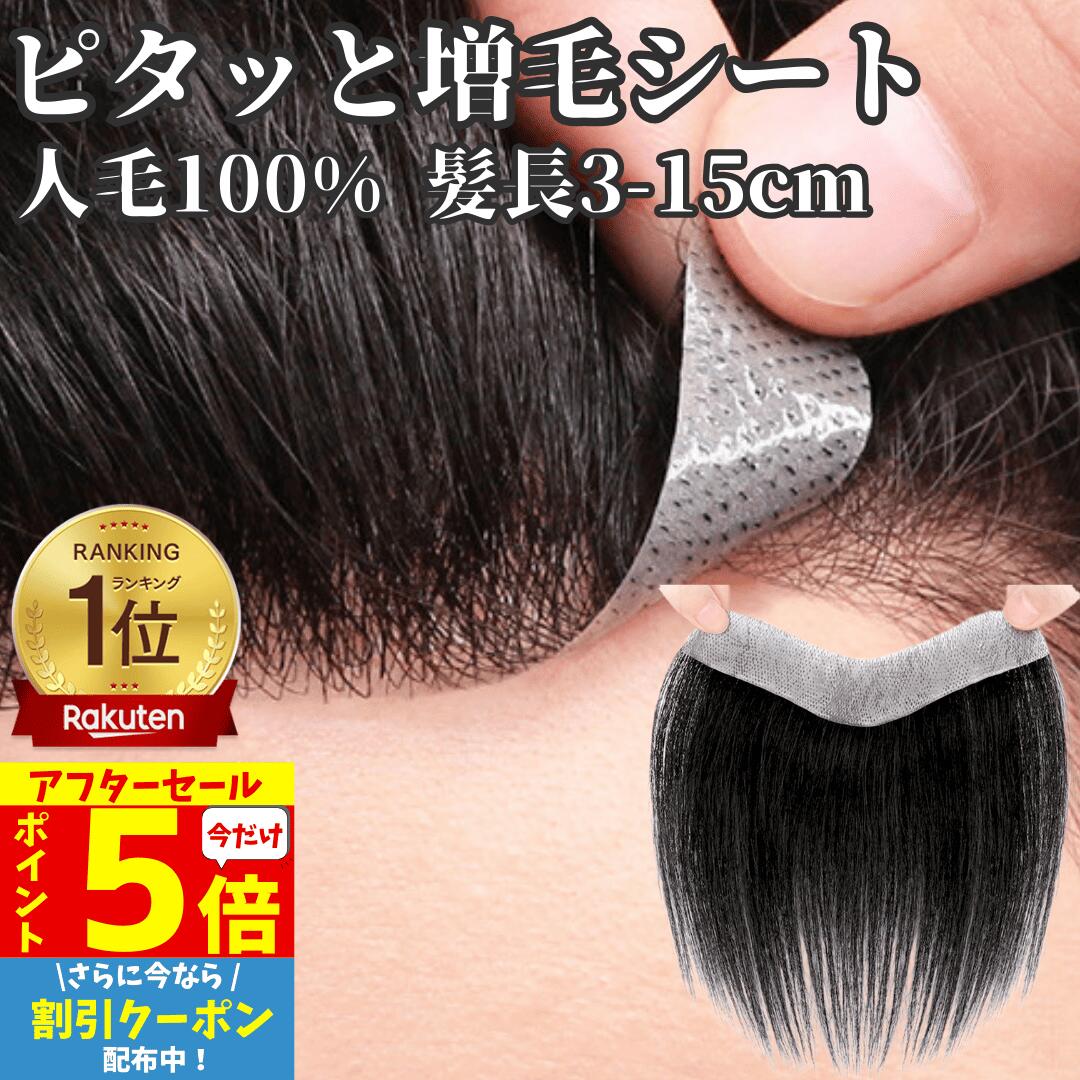 【P5 アフターセール 9/24限】 部分ウィッグ 貼るウィッグ 人毛100% 生え際 総手植え 貼る増毛 増毛シート 付け毛 薄毛 部分かつら 男女兼用 極薄フィルム ヘアピース M字 脱毛 ポイントウィッグ ヘアーインプラント 医療用 ヘアパック 増毛テープ 増毛かつら ウィッグのサムネイル
