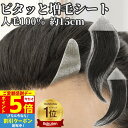 【9/18限定 ポイント5倍】 部分ウィッグ 貼るウィッグ 人毛100% 生え際 三角形 総手植え 貼る増毛 増毛シート 付け毛 薄毛 部分かつら 男女兼用 極薄フィルム ヘアピース M字 脱毛 ポイントウィッグ ヘアーインプラント 医療用 増毛エクステ 増毛かつら 増毛テープ