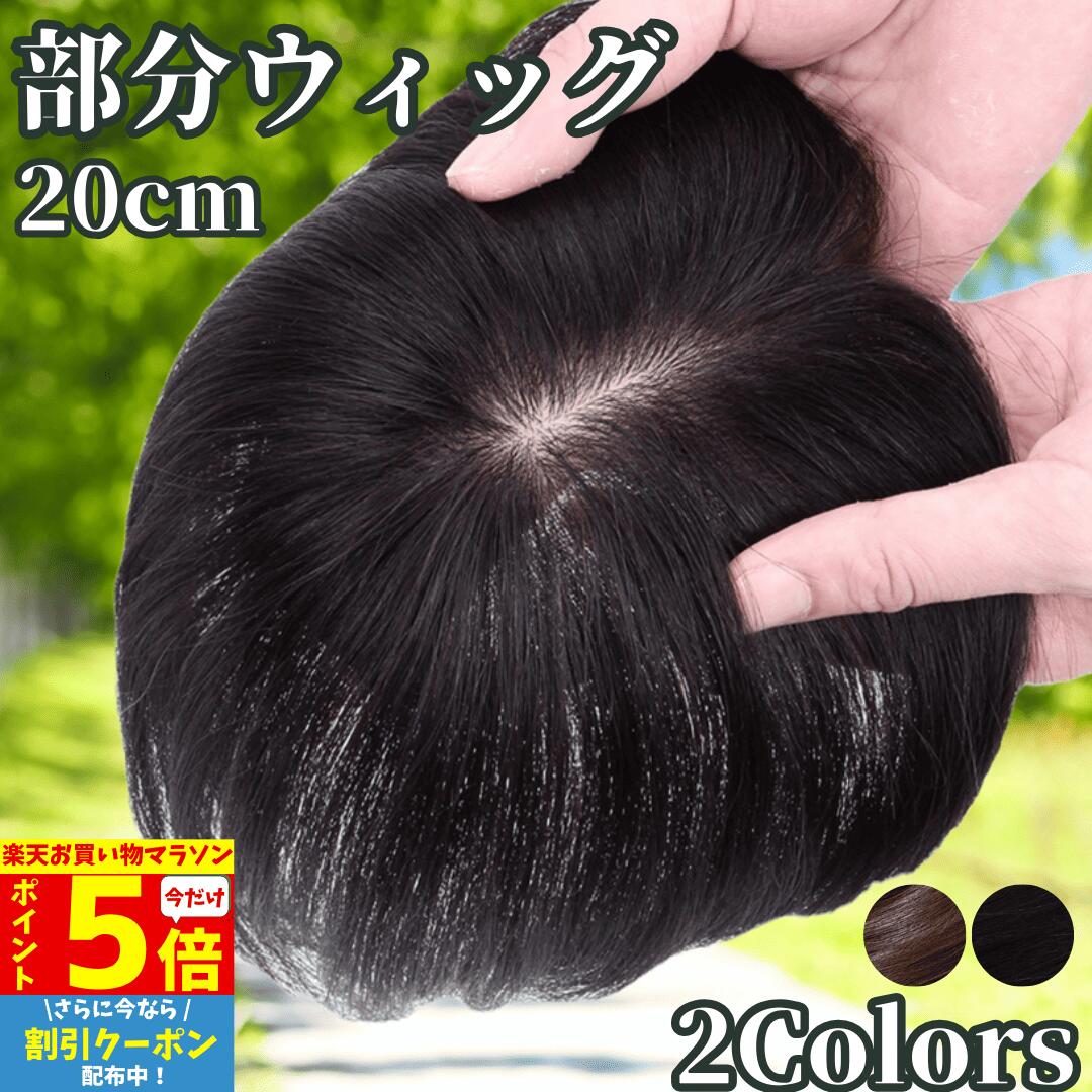 ��P5��&�����ݥ� �ޥ饽������ ��ʬ�����å� �إ��ԡ��� �ݥ���ȥ����å� ���� ��ǥ����� ����100% ���Ĥ� �����å� ���硼�� �ȥåץԡ��� ʬ����...