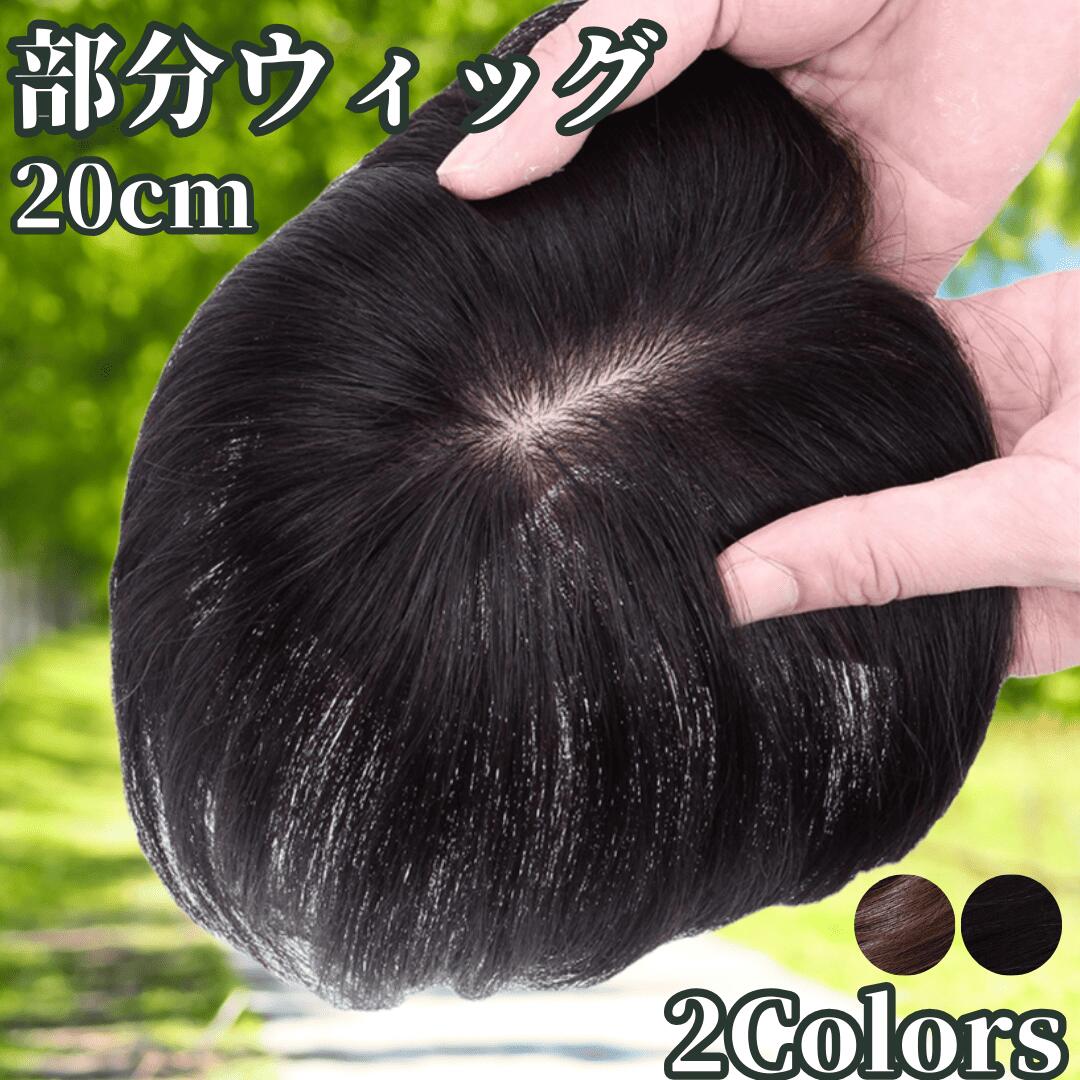 ��ʬ�����å� �إ��ԡ��� �ݥ���ȥ����å� ������ ��ǥ����� ����100% ���Ĥ� �����å� ���硼�� �ȥåץԡ��� ʬ���ܼ��� �ȥåץ����å� ���ȥ졼�� ...