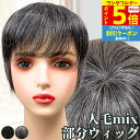 【P5倍還元 ワンダフルデー】 白髪ウィッグ 白髪かつら 部分ウィッグ ヘアピース ポイントウィッグ 白髪 グレイヘア トップウィッグ トップカバー ポイントピース 増毛かつら レディース 人毛ミックス ウィッグ 医療用 つむじ 頭頂部 ワンタッチ トップピース ストレート