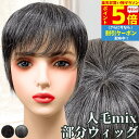 【P5倍&クーポン マラソン限定】 白髪ウィッグ 白髪かつら 部分ウィッグ ヘアピース ポイントウィッグ 白髪 グレイヘア トップウィッグ トップカバー ポイントピース 増毛かつら レディース 人毛ミックス ウィッグ 医療用 つむじ 頭頂部 ワンタッチ トップピース ストレート