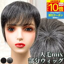 【4時間限★7/4 20時〜P10】 白髪ウィッグ 白髪かつら 部分ウィッグ ヘアピース ポイントウィッグ 白髪 グレイヘア トップウィッグ トップカバー ポイ...