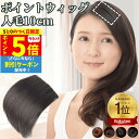 【8/15限定 ポイント5倍】 部分エクステ つけ毛 ミニ ワンタッチ ポイントウィッグ エクステ 人毛100% 部分ウィッグ 襟足ウィッグ バレない 痛くない つけ毛 人毛ウィッグ 部分カツラ レディース 男性 女性 ポイントピース 円形脱毛 医療 ヘアピース ウイッグ 10cm