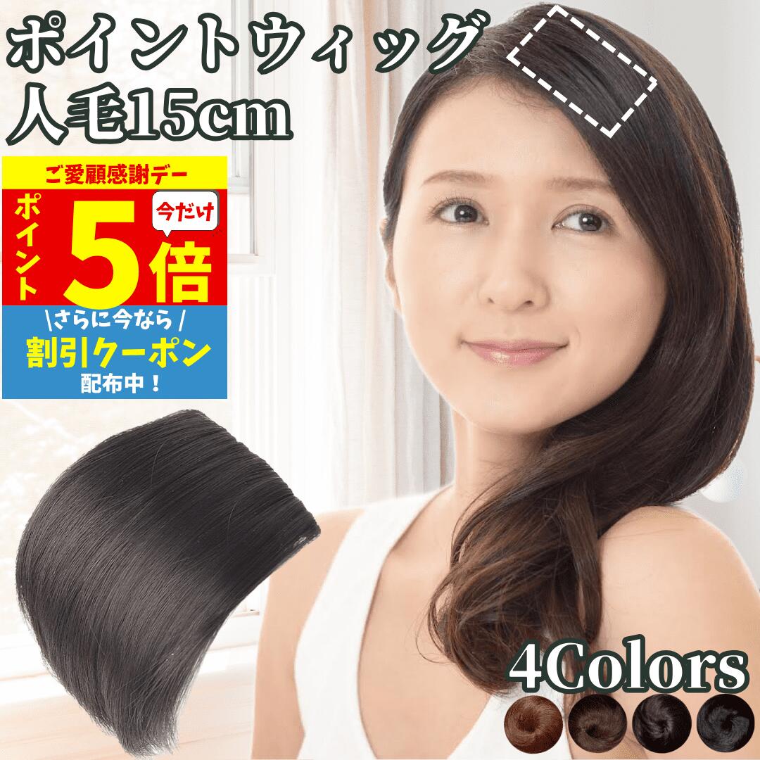 【11/18限定 全品ポイント5倍】 部分エクステ つけ毛 ミニ ワンタッチ ポイントウィッグ エクステ 人毛100% 部分ウィッグ 襟足ウィッグ バレない 痛くない つけ毛 人毛ウィッグ 部分カツラ レディース 男性 女性 ポイントピース 円形脱毛 医療 ヘアピース ウイッグ 15cm