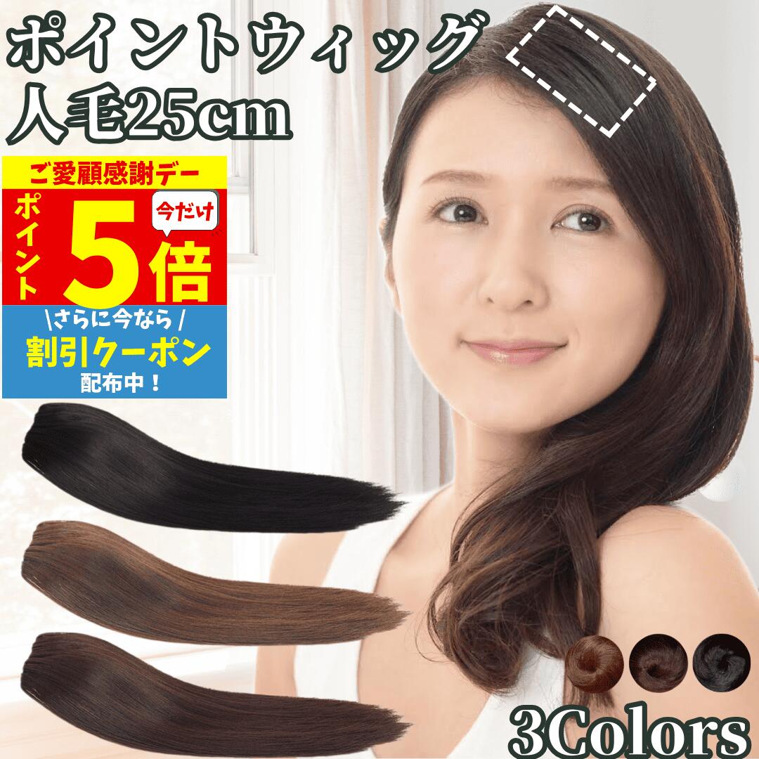 【11/18限定 全品ポイント5倍】 部分エクステ つけ毛 ミニ ワンタッチ ポイントウィッグ エクステ 人毛100% 部分ウィッグ 襟足ウィッグ バレない 痛くない つけ毛 人毛ウィッグ 部分カツラ レディース 男性 女性 ポイントピース 円形脱毛 医療 ヘアピース ウイッグ 25cm